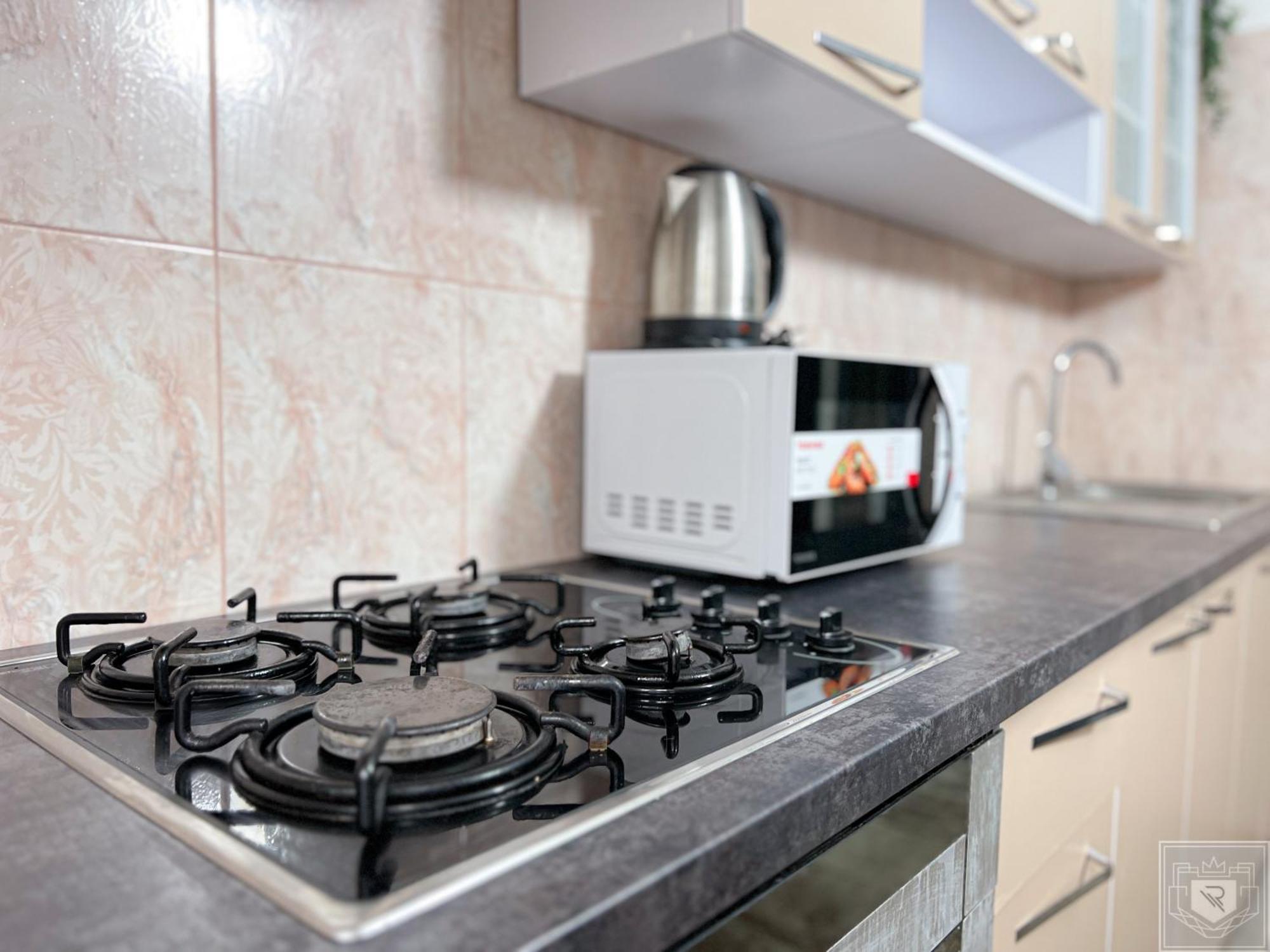 Renthouse Greenstay Apartment Kischinau